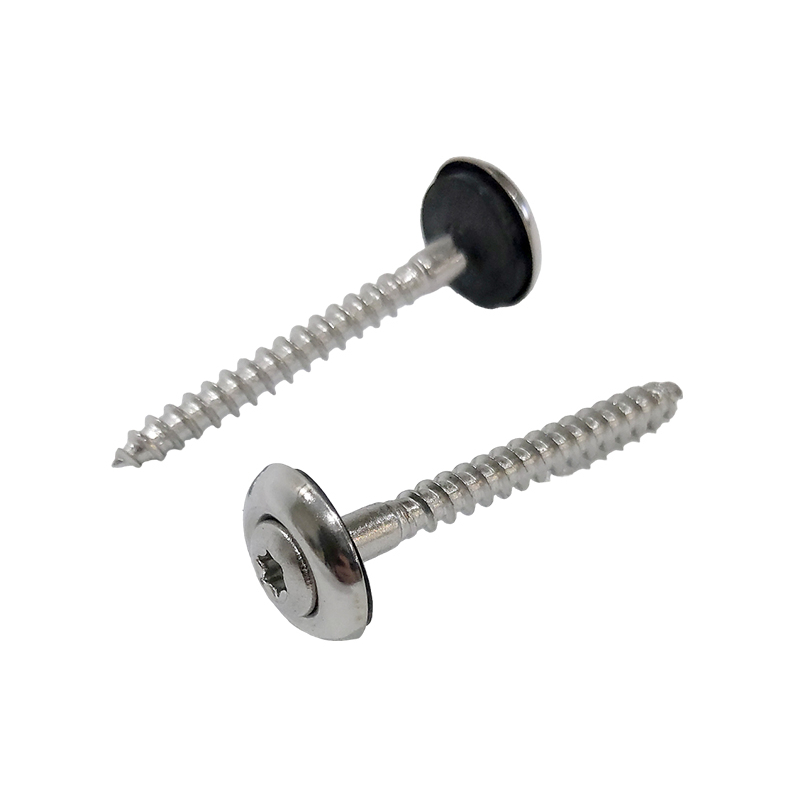 SPENGLER SCREWS 9087 TX20 - STAINLESS STEEL - Image 2