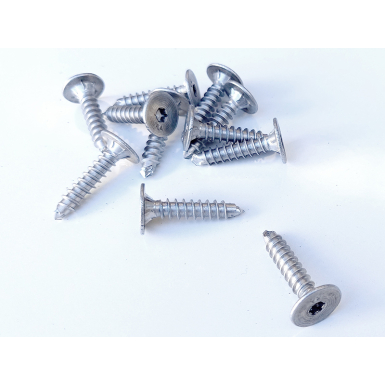 SAMPLE PACK - REES STAINLESS STEEL CLIP SCREWS